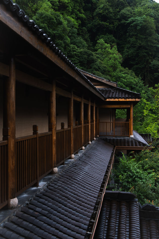 雨落牯牛降｜我花一日時間，聽山野呼吸