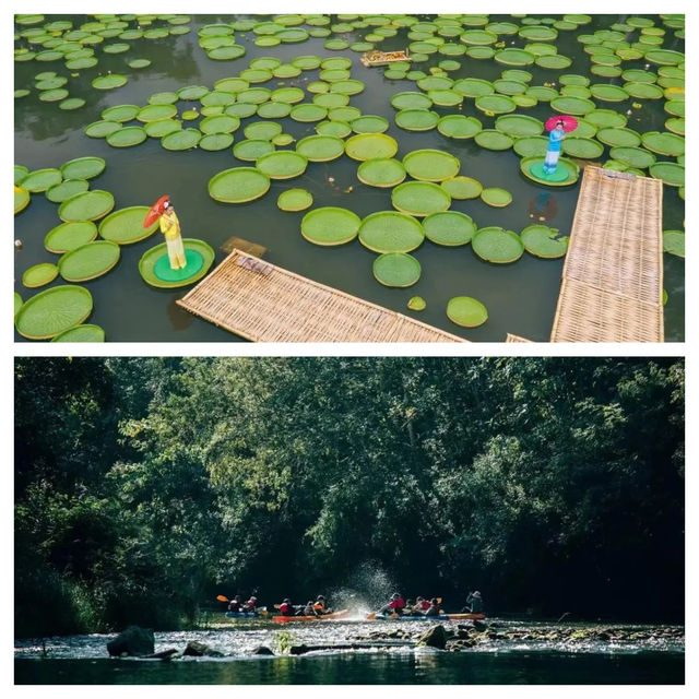 高考生必睇！勐腊旅行「住 + 玩」攻略