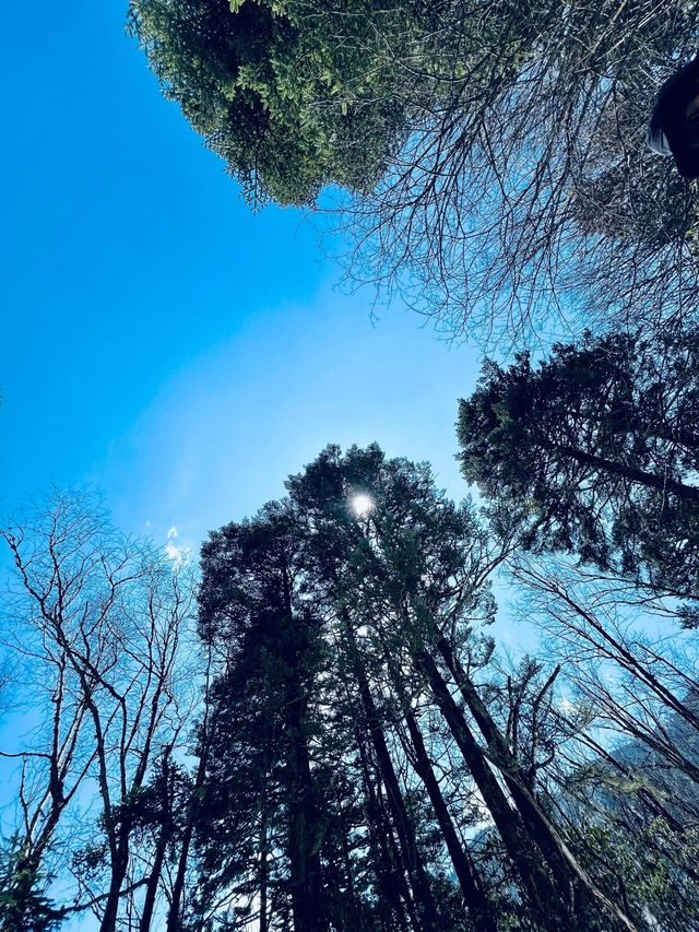 十大徒步路線-雨崩村