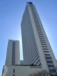 在雲端之上游動：京王廣場的泳池午後