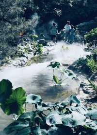 週末闖進繡球花溪嘅迷霧秘境