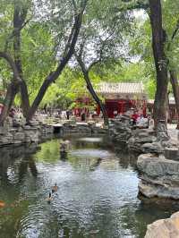恭王府的夏日美學