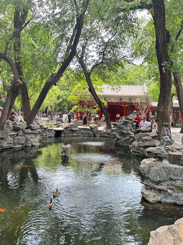恭王府的夏日美學