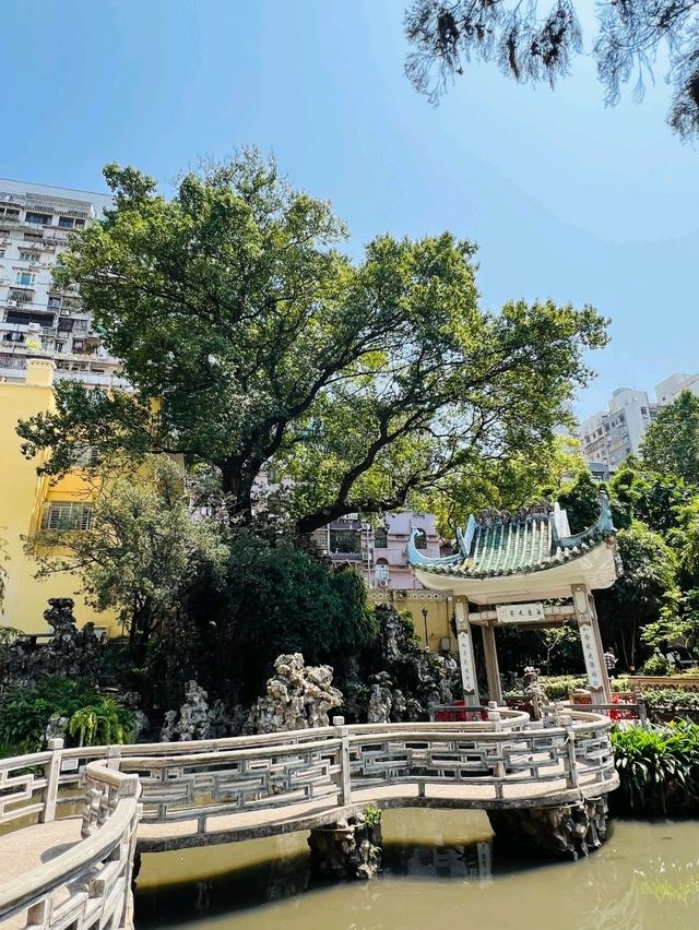 香港出發至澳門盧廉若公園交通攻略 