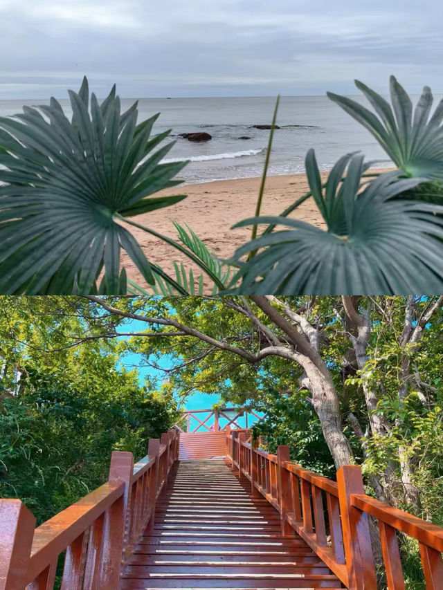 北戴河已回，我的消費觀崩塌了。