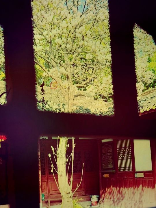 **【四川金華寺：千年古剎的禪意時光】**  