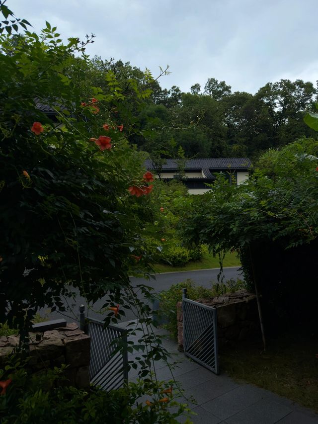 鄭州1h山谷裡嘅避世療癒好去處 三刷信陽 又多咗一份驚喜 對於我嚟講 最好嘅放鬆方式就係搵