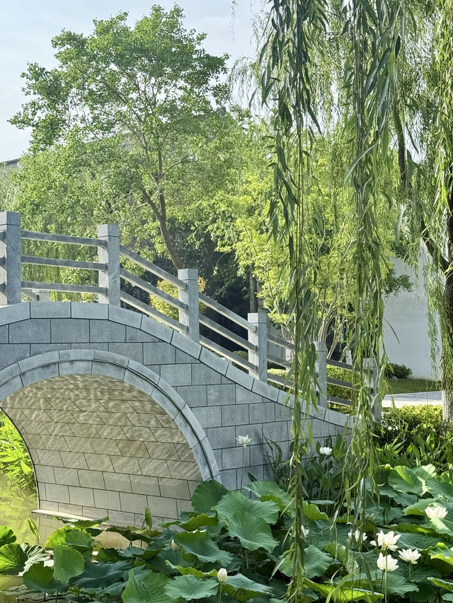 鹽城｜顛覆我認知的大洋灣希爾頓逸林酒店