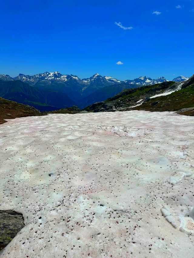 阿勒奇冰川喺消融之前遇見冰雪奇蹟