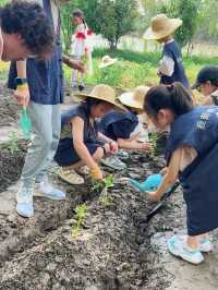 江浙滬親子遊王炸組合！一站式遛娃爽到飛起