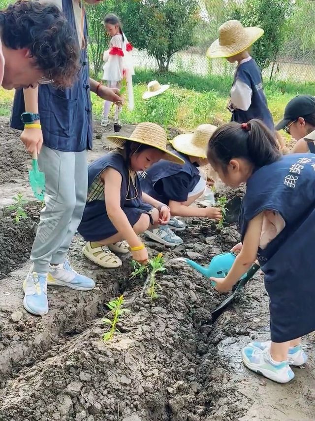 江浙滬親子遊王炸組合！一站式遛娃爽到飛起