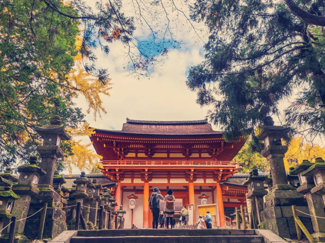 **【穿越千年古韻！大阪春日大社祕境體驗全記錄】**    