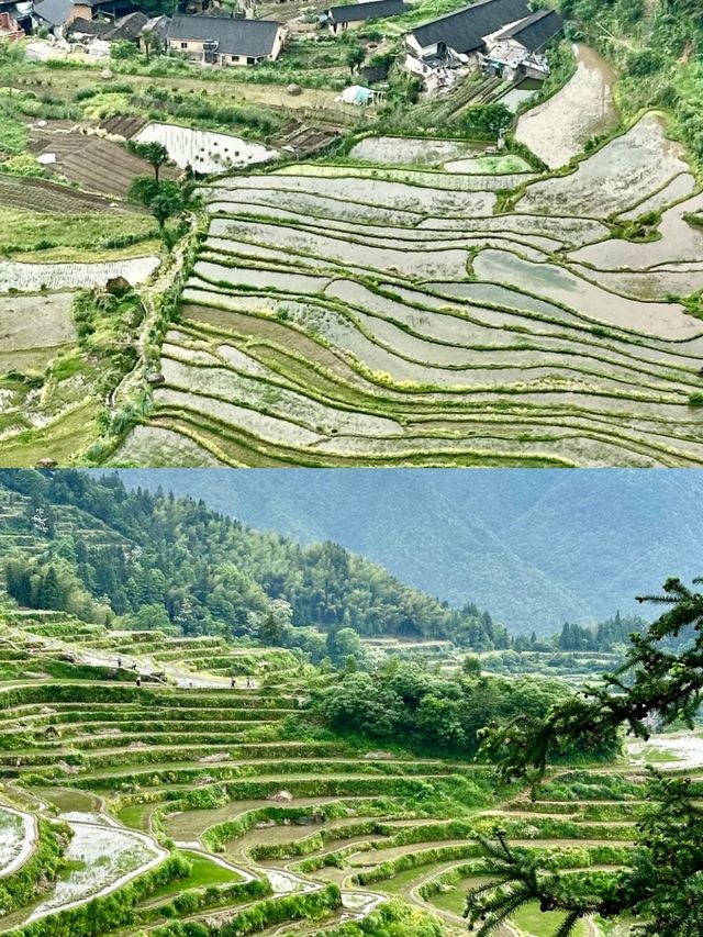 麗水玩咗三日，我嘅消費觀崩塌咗