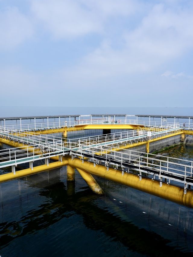 金鯧魚之都「湛江」捕撈現場帶你睇