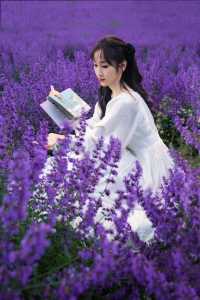 白裙與紫浪，薰衣草田裡的夏日情書