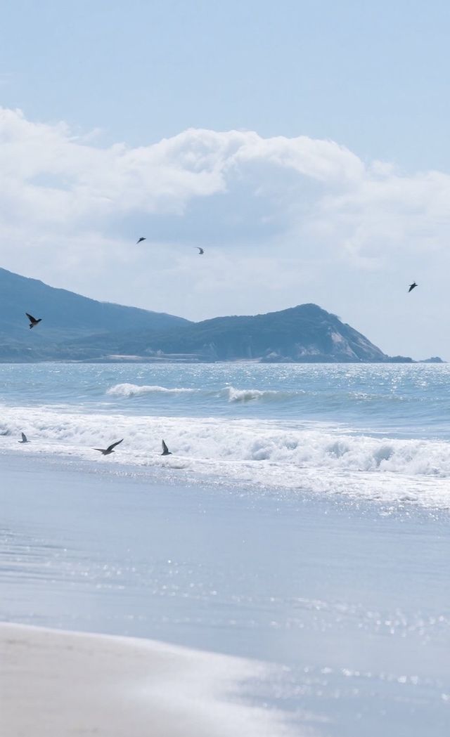 威海環海自駕全攻略