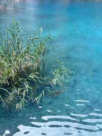 「小藍湖」藍返嚟啦！呢片Tiffany藍湖靚到講唔出聲
