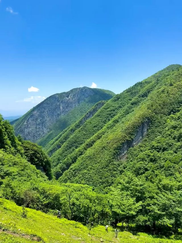 重慶徒步天花板｜夾璧山大環