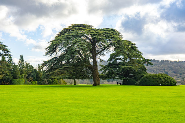 Highclere Castle Summer 2025 Opening: Downton Abbey Experience