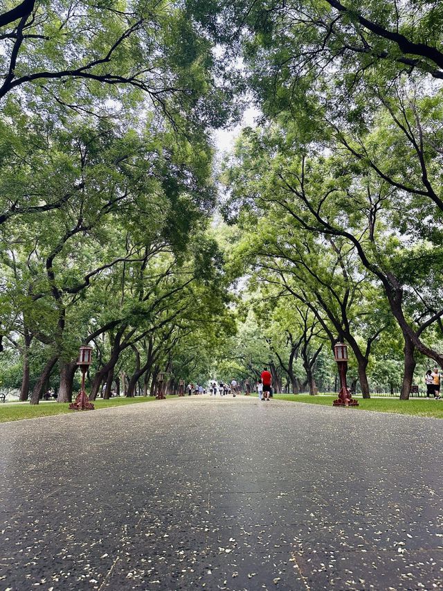 雨中天壇的詩意與夏日浪漫
