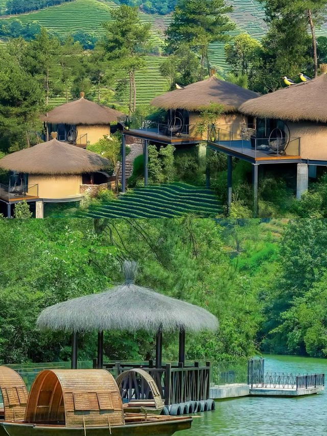 杭州在安吉森林野奢草屋吸氧