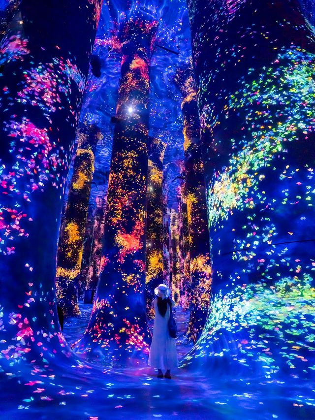 劉亦菲冇呃我，呢個免簽又對華人友好嘅國家真係值得