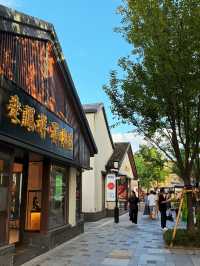 Well-restored old town in Shanghai - Panlong Tiandi 🦆⛲️