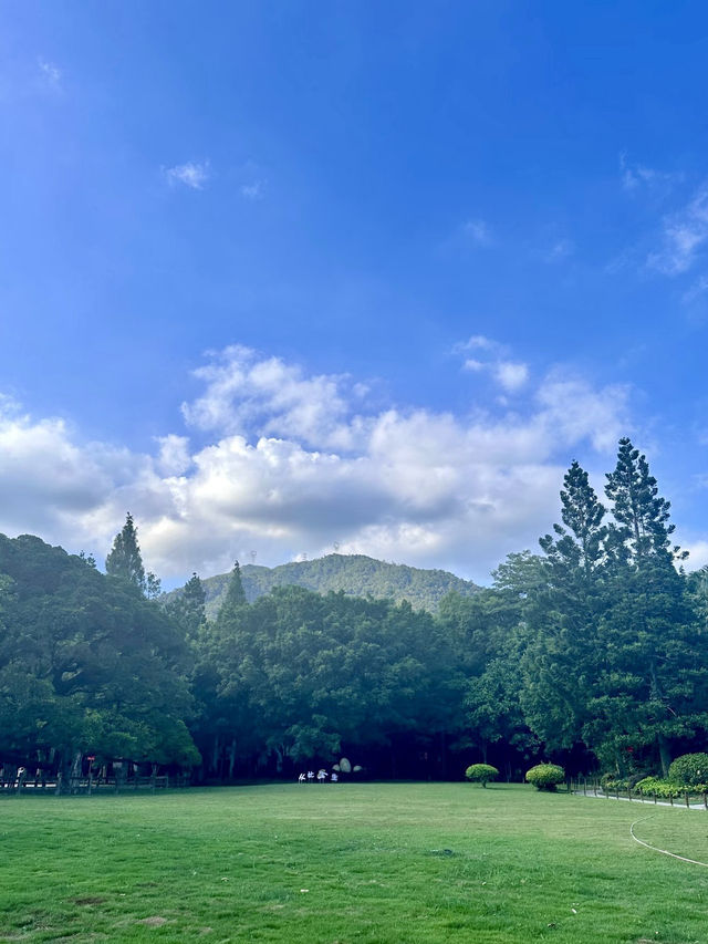 翠影繚繞・福州國家森林公園的森呼吸