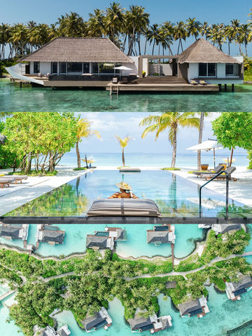 在白馬莊園，截取一片盛夏