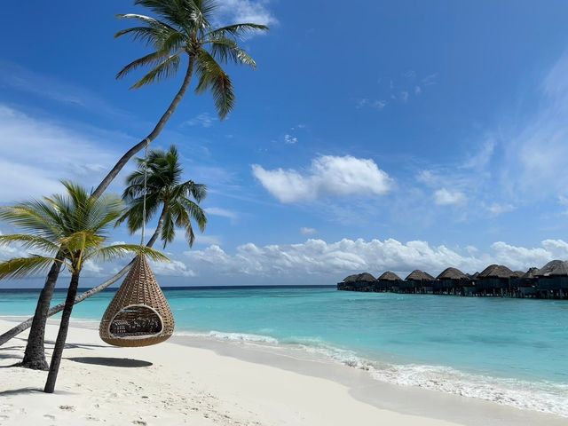 A Dreamy Island Getaway A Dreamy Island Getaway