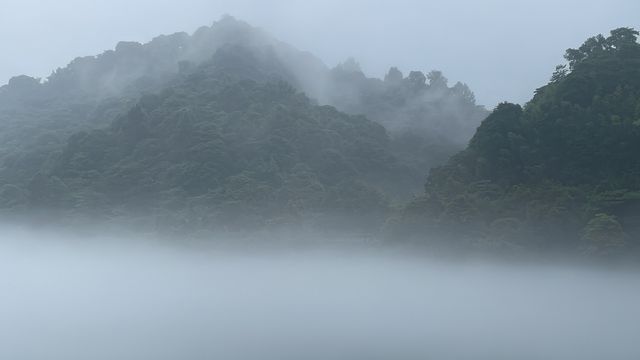 東江湖遠足新玩法 東江湖遠足新玩法