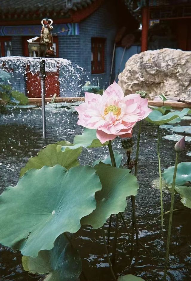瀋陽印象：奢居與古寺的時光影像