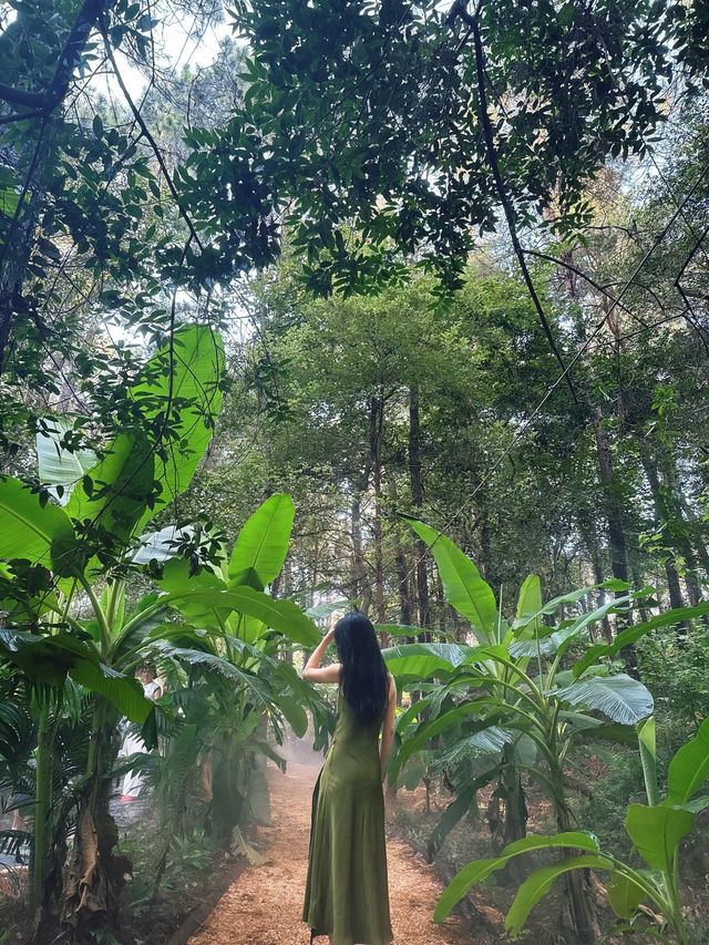 茅山森林世界夏日親子唔曬版輕鬆遊玩攻略