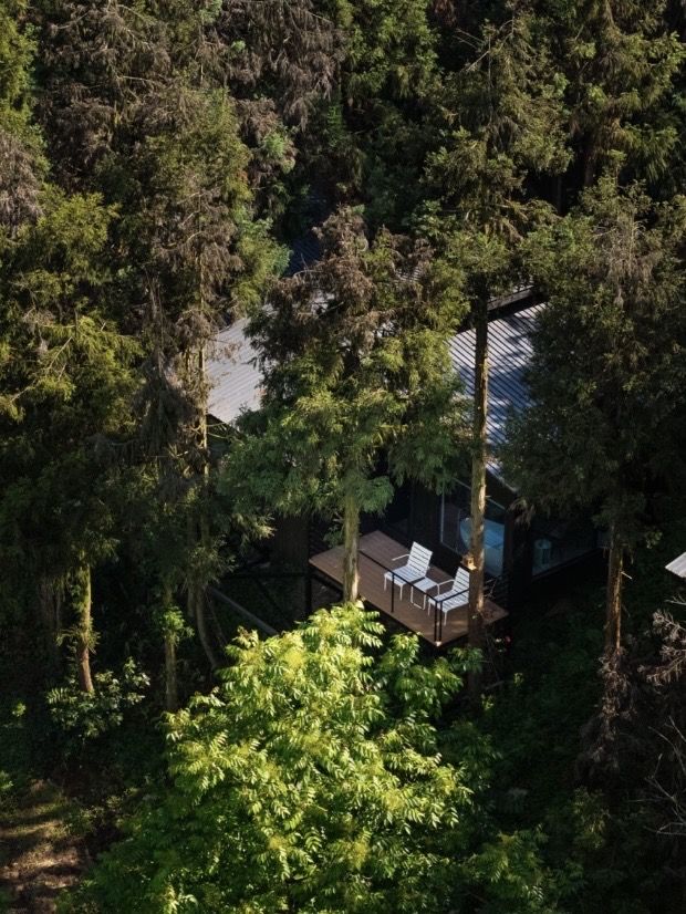 樂山秘境木屋，遭遇100%山野