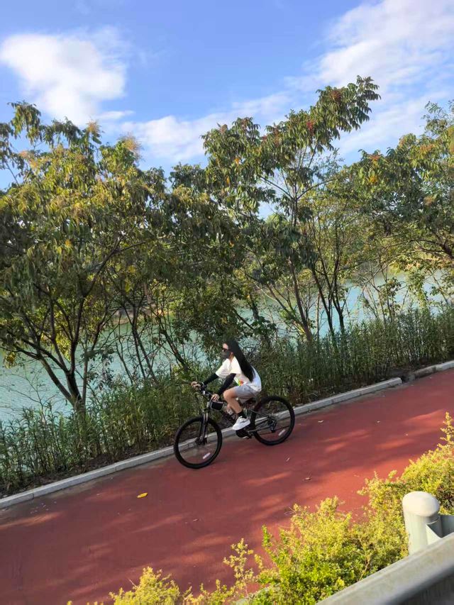 騎行露營的神仙搭配