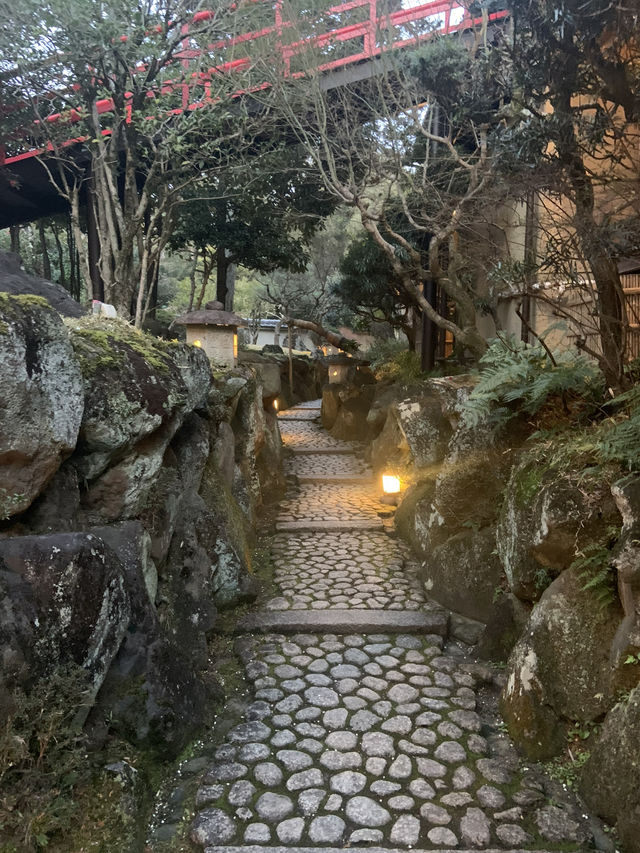 奈良宇治古都慢活之旅🌸  