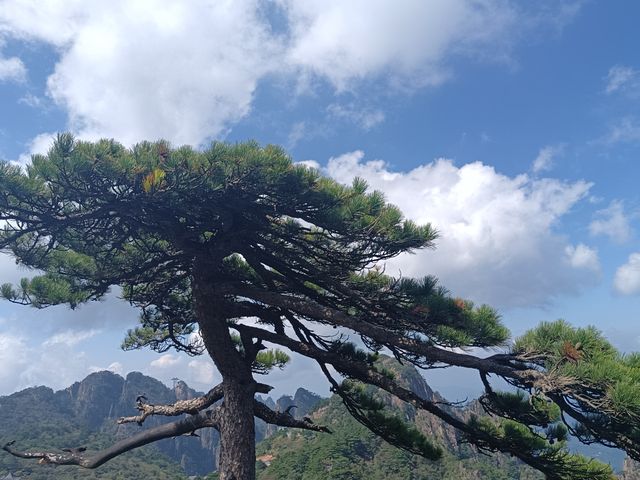 自然奇觀等你探尋---黃山