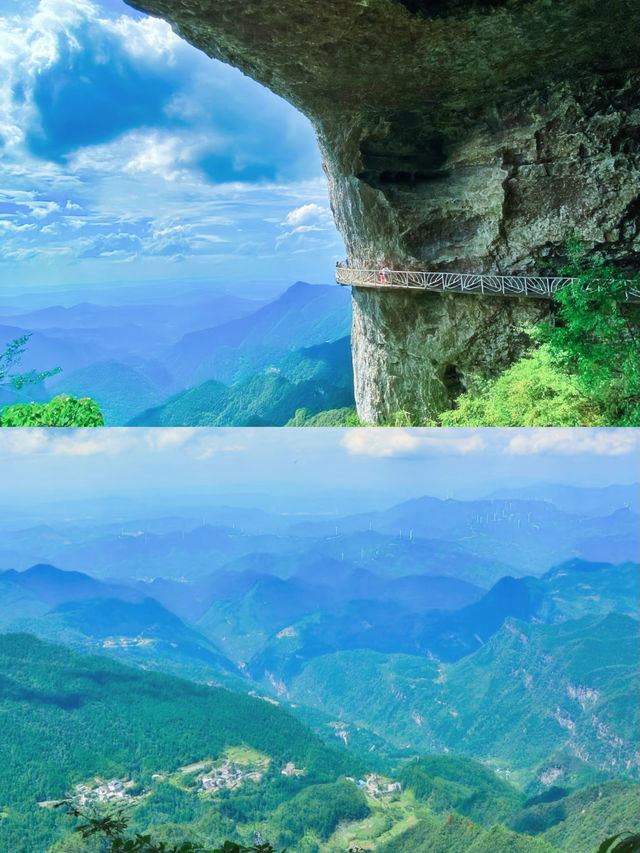 重慶南川金佛山保姆級攻略|四季玩法大公開 重慶南川金佛山保姆級攻略|四季玩法大公開