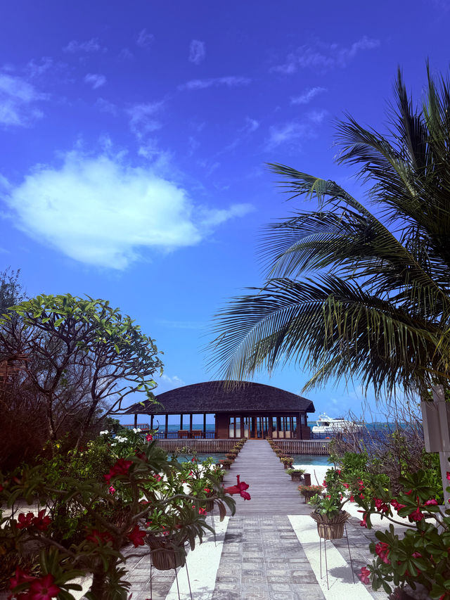 Wonderful First Experience in the Maldives Wonderful First Experience in the Maldives