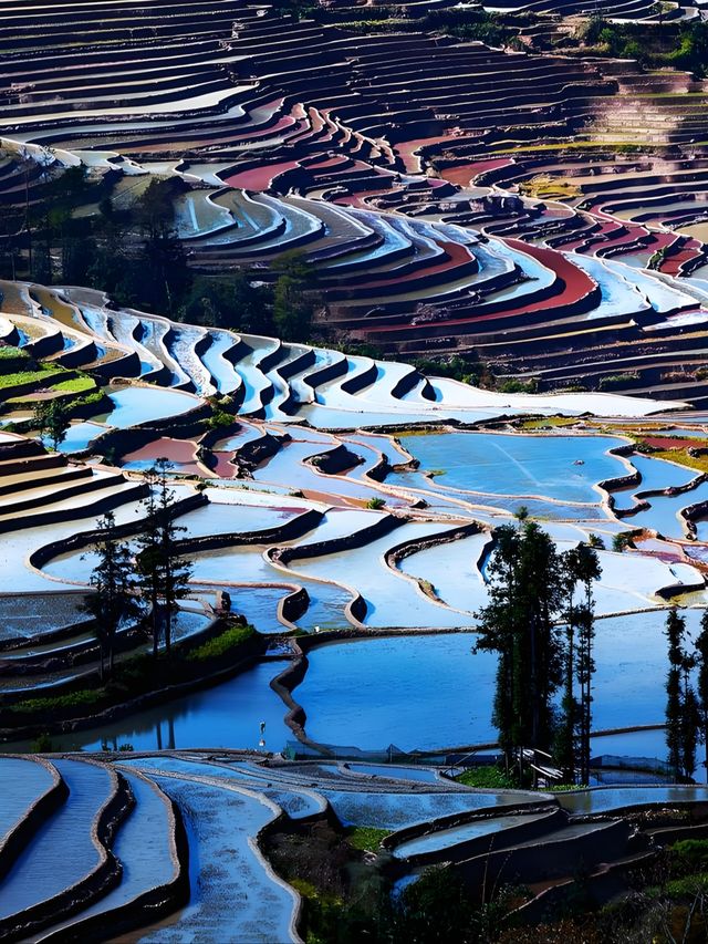雲南紅河哈尼桑田旅行攻略