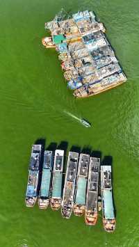 廣東陽江東平鎮海港