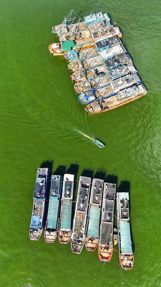 廣東陽江東平鎮海港