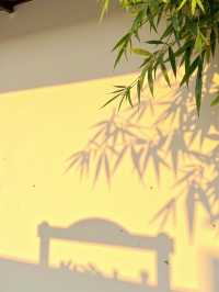 日光紅葉，秋日限定