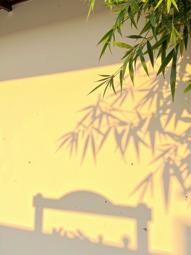 日光紅葉，秋日限定