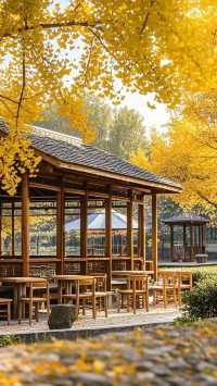 銀杏遊樂園旅行攻略