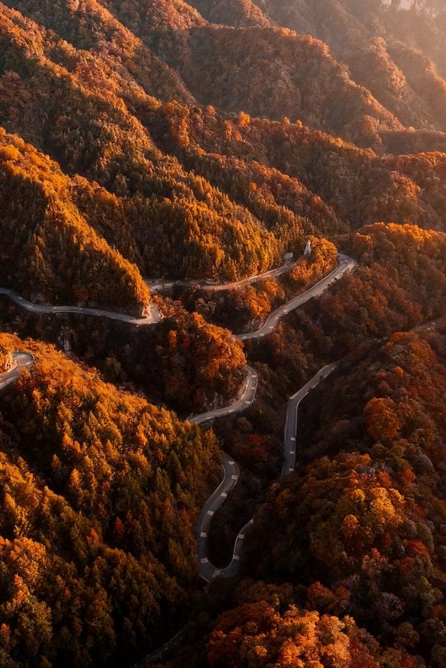 救命光霧山的秋天真的美哭我了