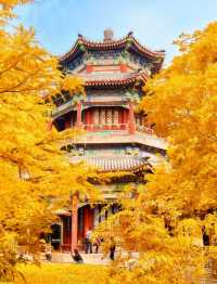 北京秋天打卡地圖這7條路線逛完，才算沒白來！