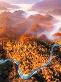 亞洲最大的紅葉景區在這個省，知道的人不多