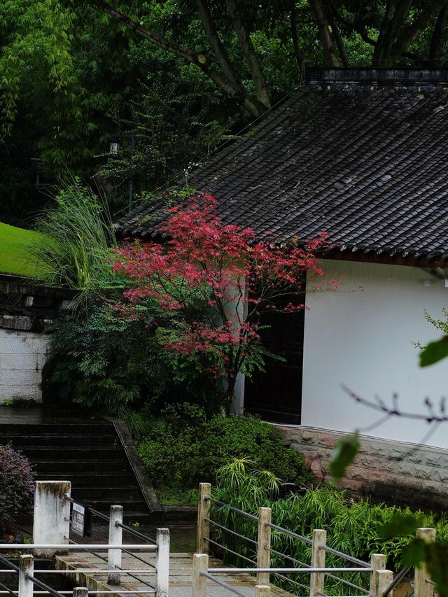 重慶｜石門公園的「新中式」雨天美學