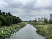 東沙湖生態公園